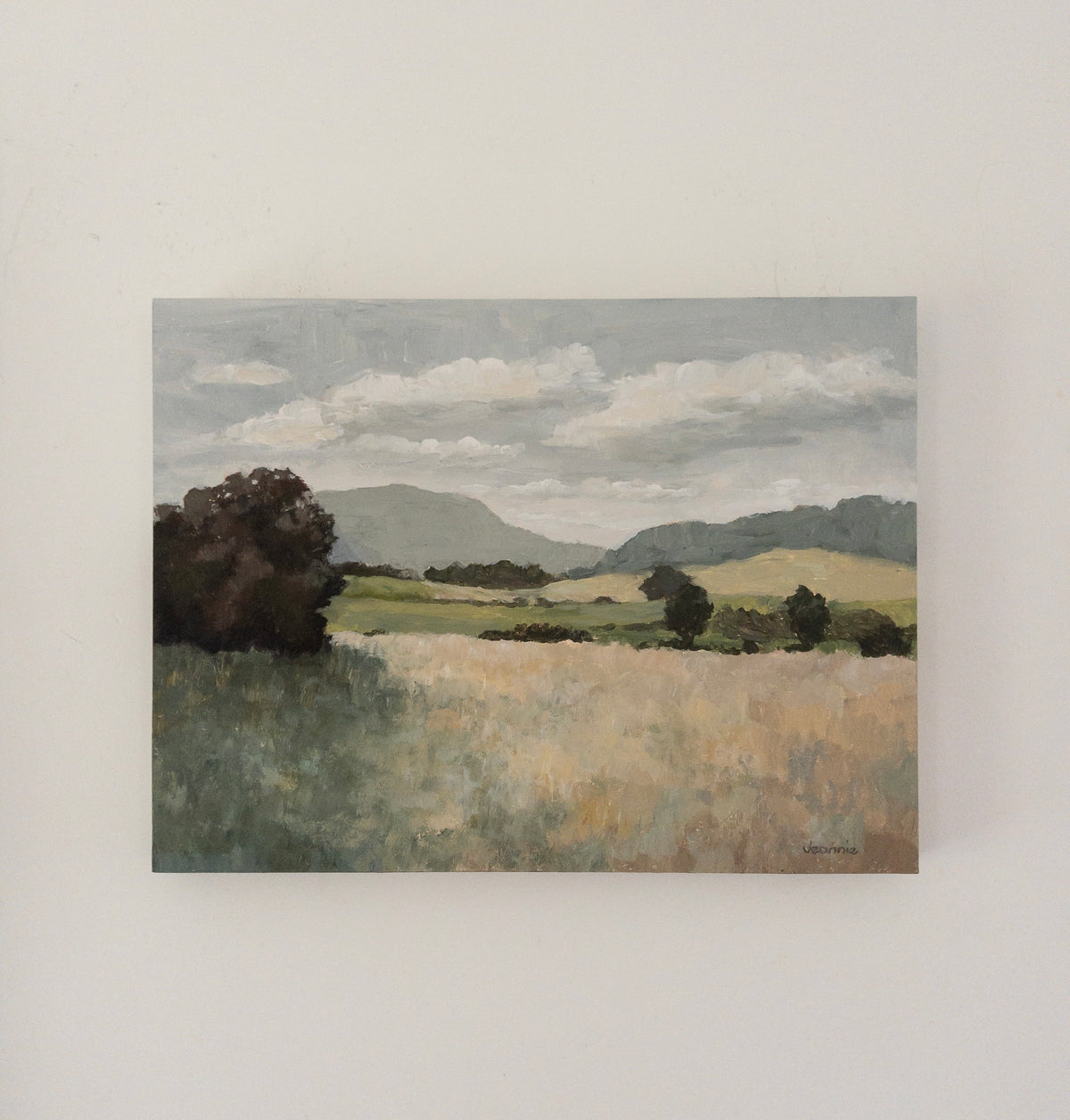 Country Fields