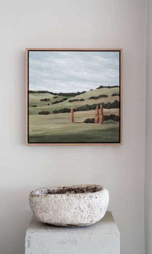 Burrawang Hills Study