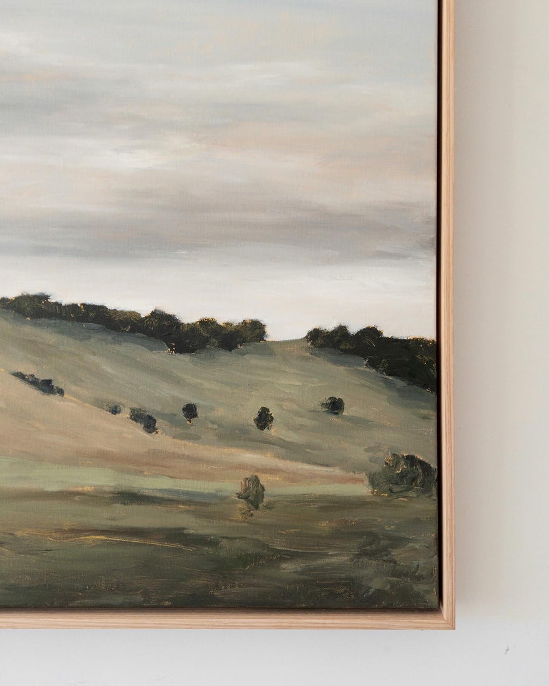 Burrawang Dusk