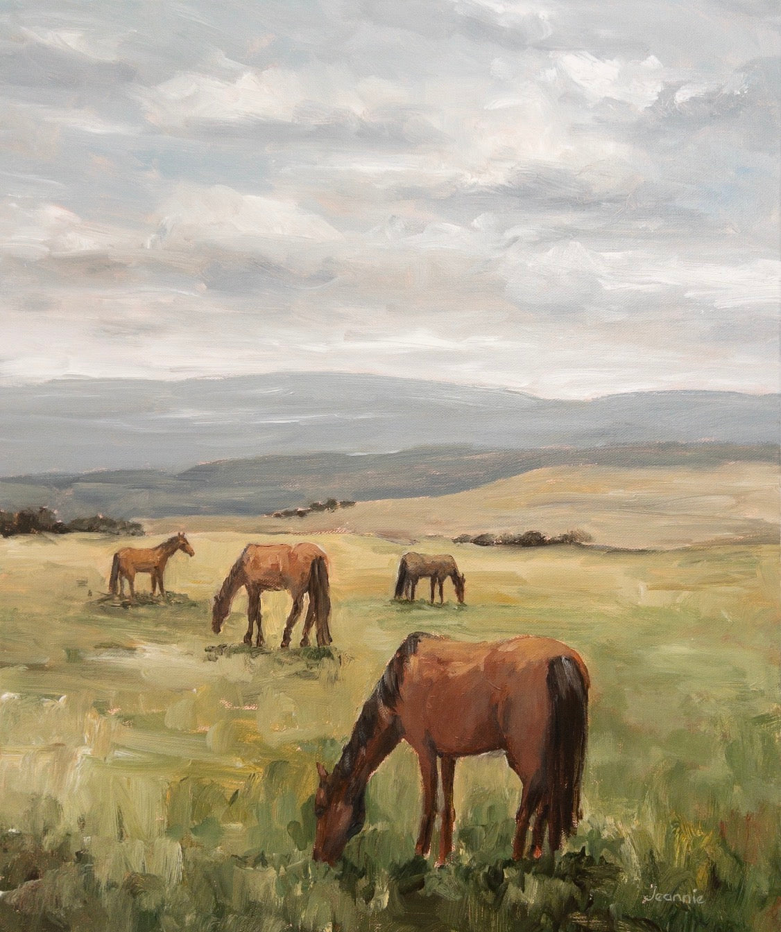 Grazing Paddock